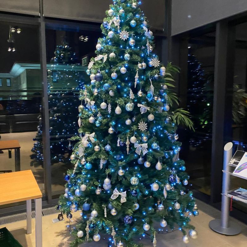 Indoor tree with blue and silver palette
