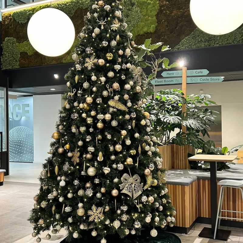 Indoor tree with gold palette