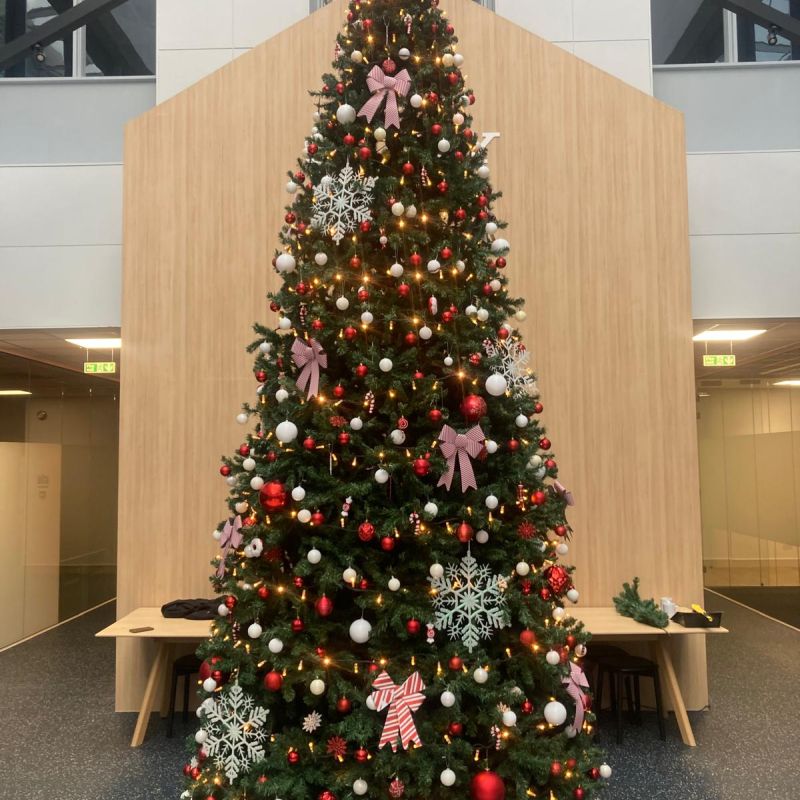 Indoor tree with red and white palette