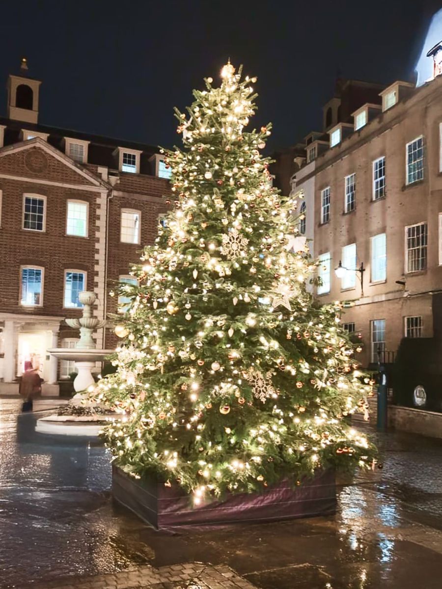 4thd external tree